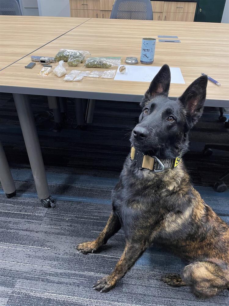 K9 Luna Drug Bust 