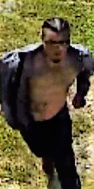 Theft of Motor Vehicle Suspect.png