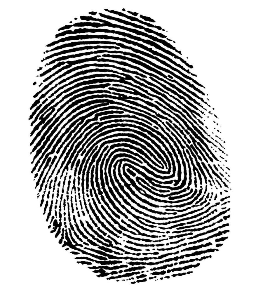 fingerprint