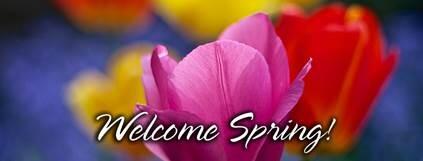 Welcome Spring Flowers