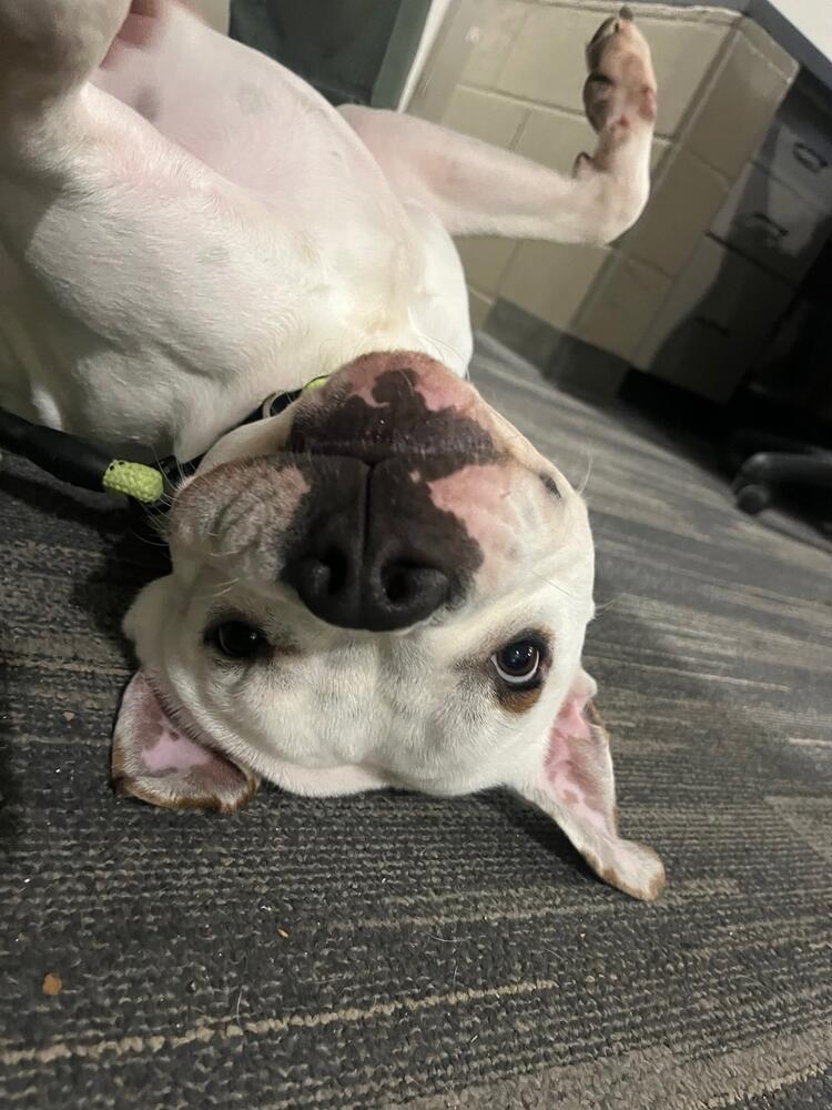 Inmate Tater Posing