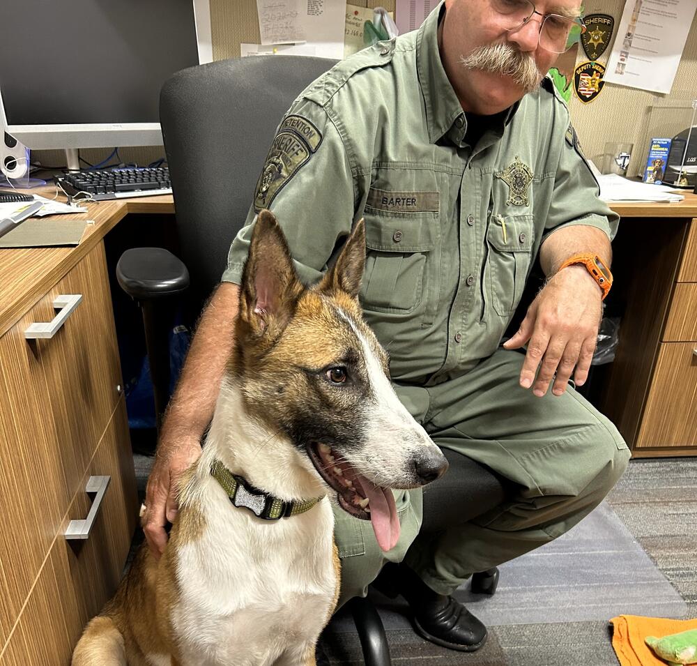 Sgt. Barter with new dog Lassie