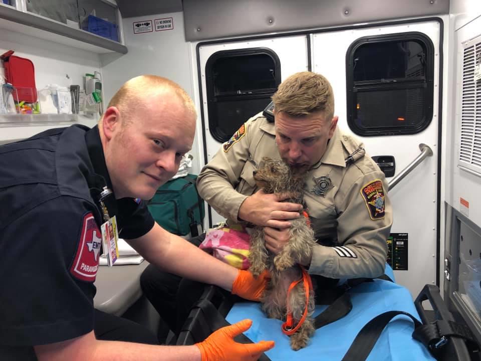 Deputy and EMT in ambulance with puppy 