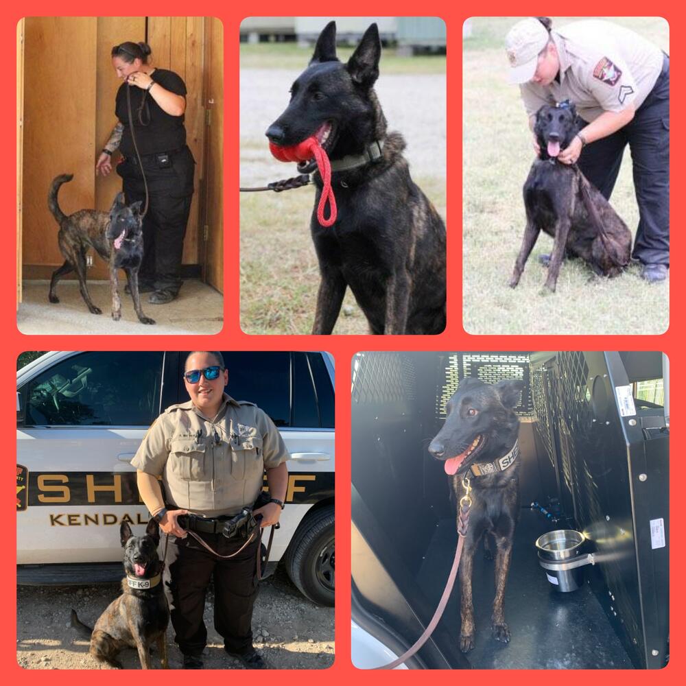 Cpl. Meyer and K9 Luna