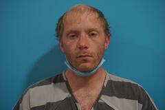 Mugshot of Martin, David